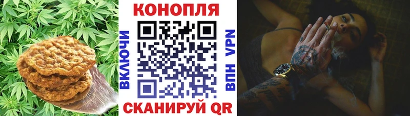 купить наркотик  Снежинск  Canna-Cookies марихуана 