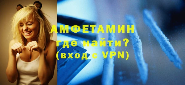 мет Ельня